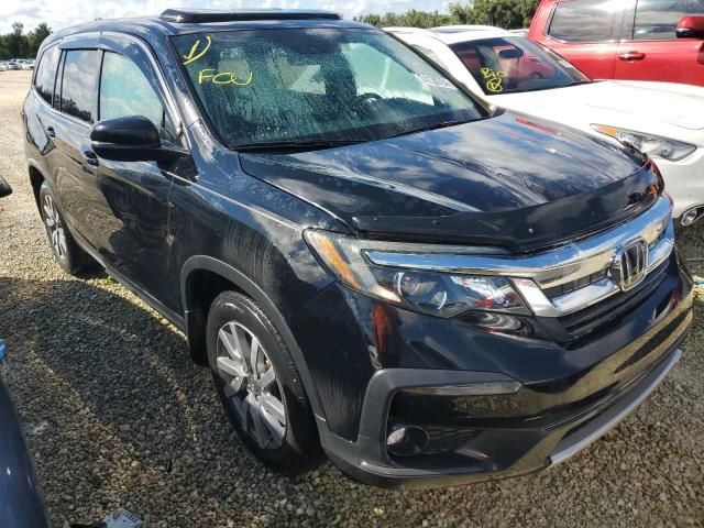 2019 Honda Pilot EXL