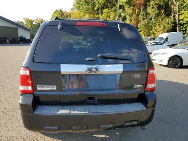 2011 Ford Escape Limited