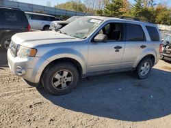 Vehiculos salvage en venta de Copart Davison, MI: 2011 Ford Escape XLT