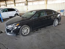 Salvage cars for sale at Phoenix, AZ auction: 2019 Hyundai Sonata SE