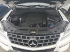 2015 Mercedes-Benz ML 350