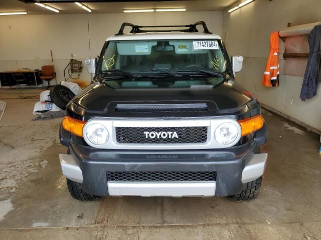 2010 Toyota FJ Cruiser