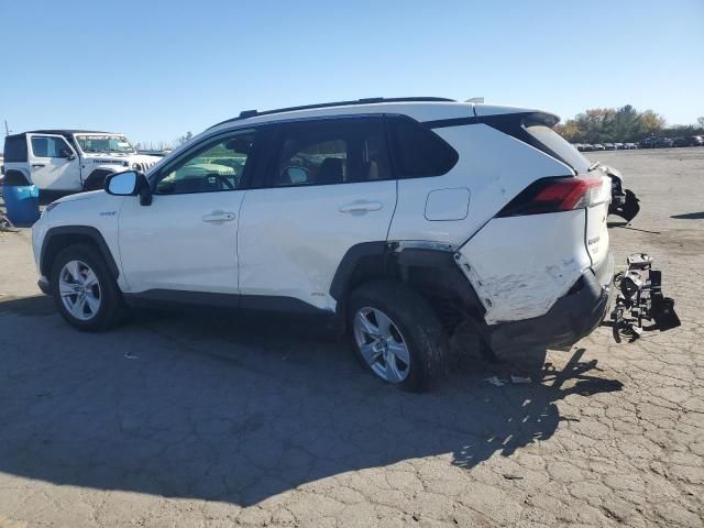 2019 Toyota Rav4 XLE