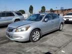 2010 Honda Accord EX