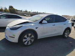 2023 Tesla Model Y en venta en Martinez, CA