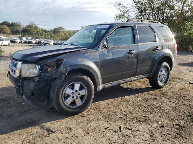 2009 Ford Escape XLT