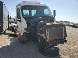 Freightliner Cascadia 116 Vehiculos salvage en venta: 2020 Freightliner Cascadia 116