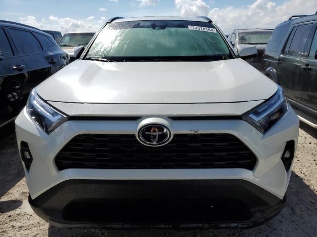 2022 Toyota Rav4 XLE Premium