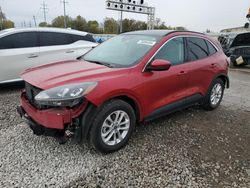 2020 Ford Escape SE en venta en Columbus, OH