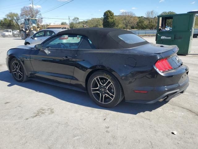 2019 Ford Mustang