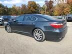 2011 Lexus LS 460