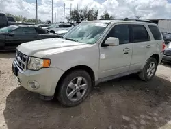 Salvage SUVs for sale at auction: 2009 Ford Escape Limited