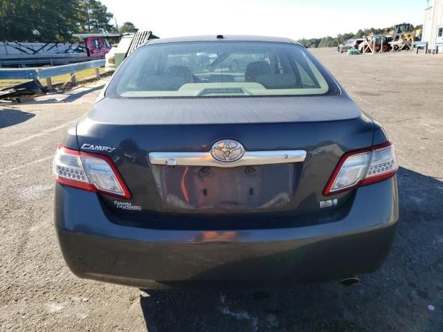 2010 Toyota Camry Hybrid