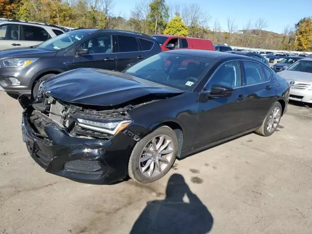 2021 Acura TLX