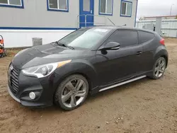 Hyundai salvage cars for sale: 2013 Hyundai Veloster Turbo