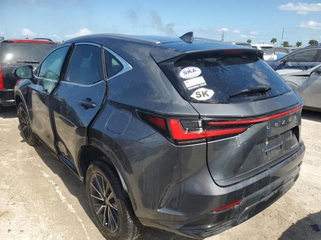 2024 Lexus NX 250 Premium