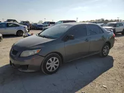 Toyota Corolla salvage cars for sale: 2010 Toyota Corolla Base