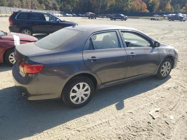 2010 Toyota Corolla Base