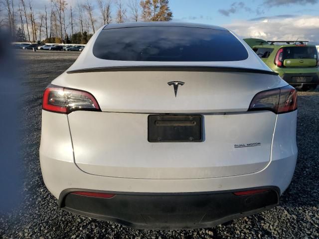 2020 Tesla Model Y