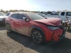 2020 Lexus UX 250H