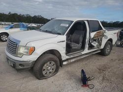 2011 Ford F150 Supercrew en venta en Apopka, FL