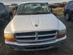 2002 Dodge Dakota Quad SLT