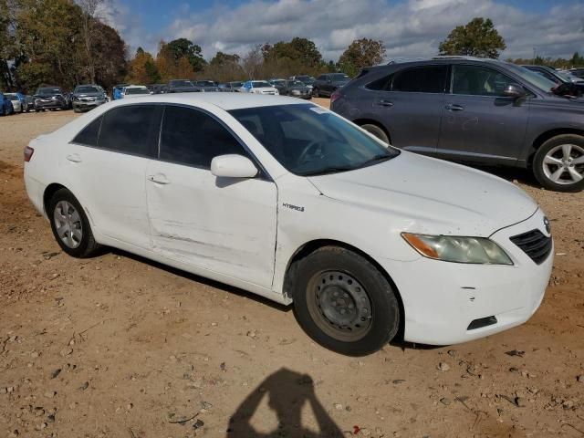 2009 Toyota Camry Hybrid