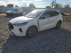 Ford Escape st salvage cars for sale: 2024 Ford Escape ST Line