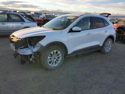 Ford salvage cars for sale: 2021 Ford Escape SE