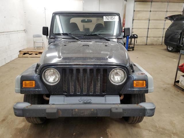 2001 Jeep Wrangler / TJ SE