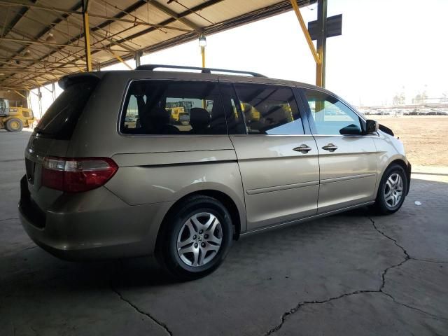 2005 Honda Odyssey EXL