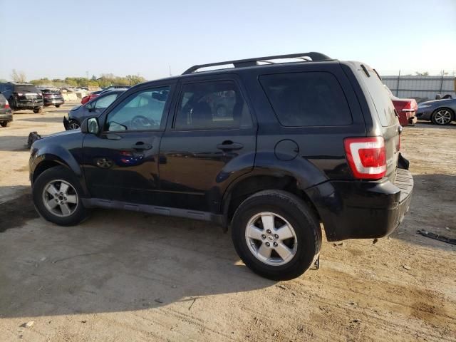 2010 Ford Escape XLT