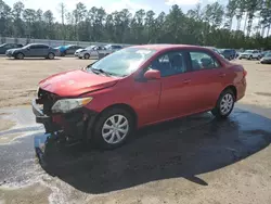 Salvage cars for sale from Copart Harleyville, SC: 2011 Toyota Corolla Base