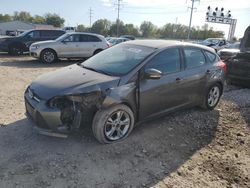 Salvage cars for sale at Columbus, OH auction: 2014 Ford Focus SE