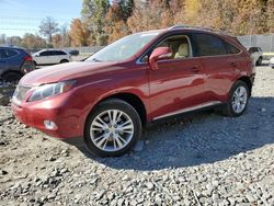 Lexus rx450 Vehiculos salvage en venta: 2010 Lexus RX 450H