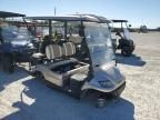 2021 Icon Golf Cart