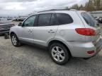 2007 Hyundai Santa FE SE