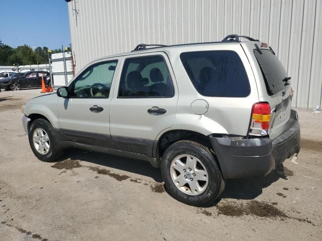 2005 Ford Escape XLT