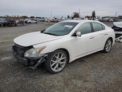 Nissan salvage cars for sale: 2009 Nissan Maxima S