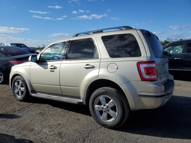 2010 Ford Escape Limited