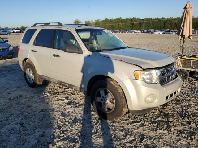 2009 Ford Escape XLT