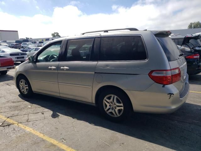 2005 Honda Odyssey EXL