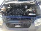 2006 Ford Escape XLT