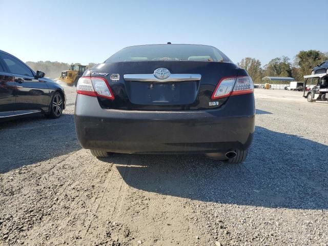 2010 Toyota Camry Hybrid