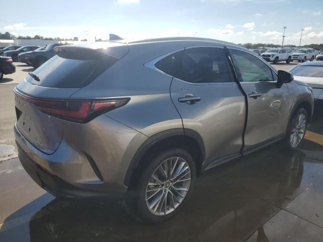 2023 Lexus NX 350