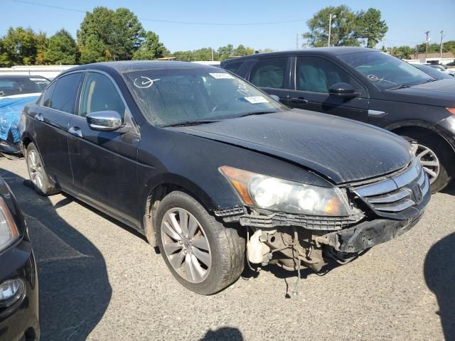 2011 Honda Accord EXL