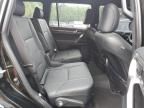 2023 Lexus GX 460 Luxury