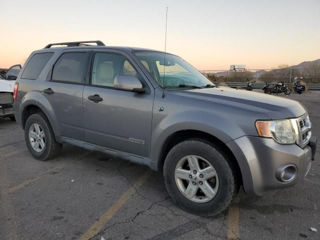 2008 Ford Escape HEV