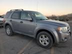 2008 Ford Escape HEV