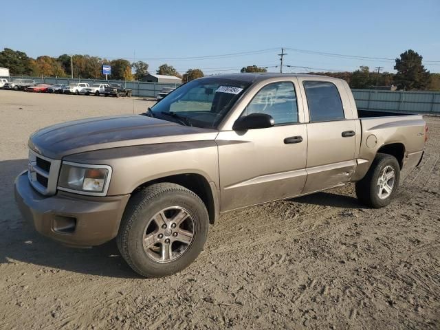 2010 Dodge Dakota SXT